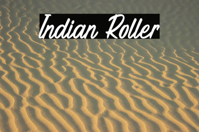Indian Roller Example 1