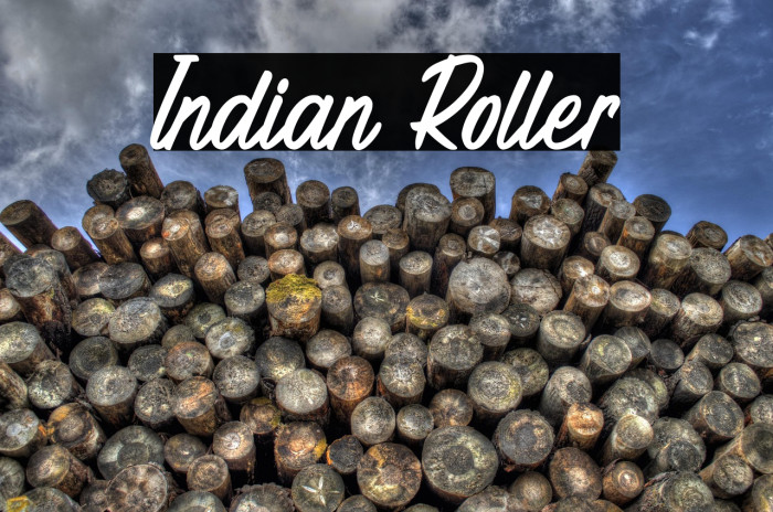 Indian Roller Example 2