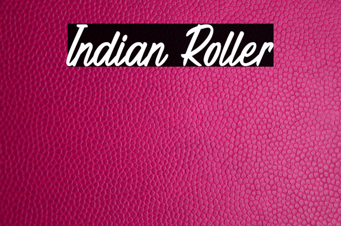 Indian Roller Example 3