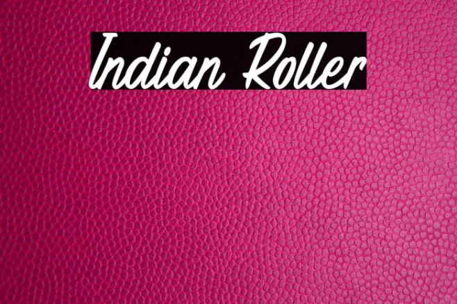 Indian Roller Example 3
