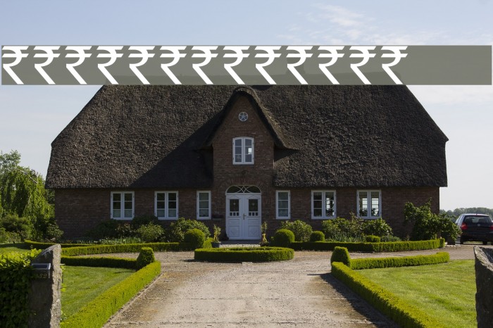 Indian Rupee Font Example 1