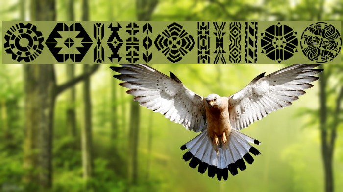 IndianDesigns Font examples