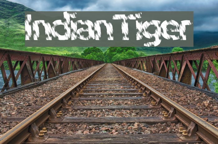 IndianTiger Font examples