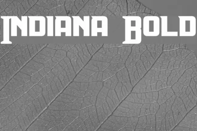 Indiana Bold Font examples