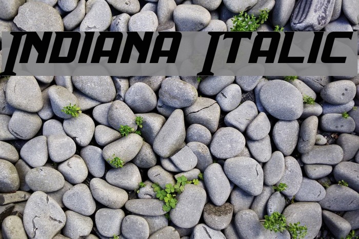 Indiana Italic Font examples