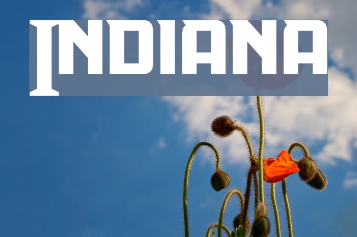 Indiana Font examples