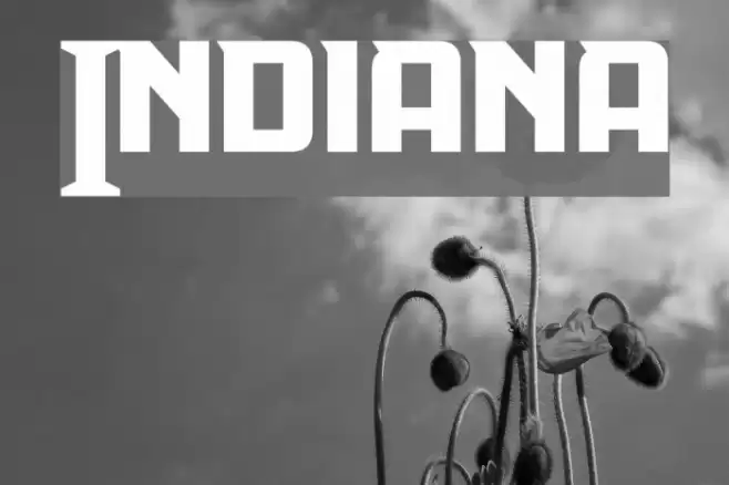 Indiana Шрифта examples