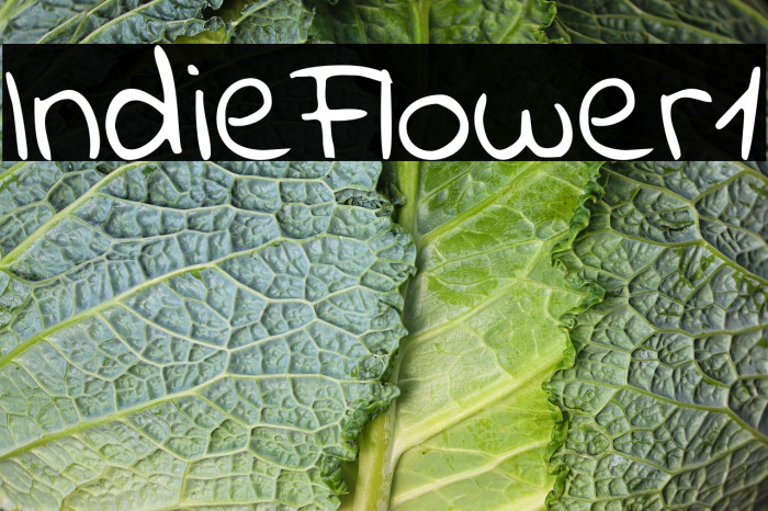 Indie Flower1 Example 2