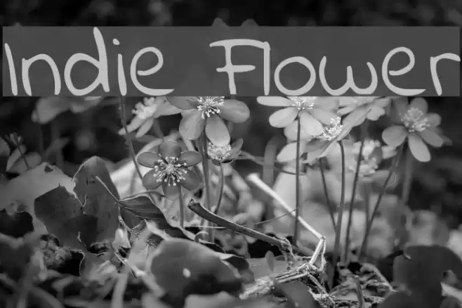 Indie Flower Font examples