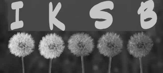 Indie Komiks Sketch Bold Polices examples