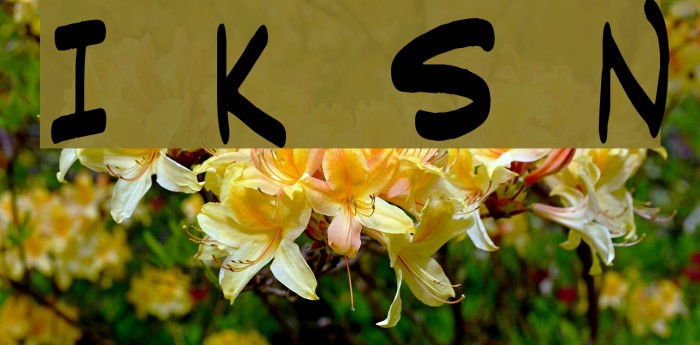 Indie Komiks Sketch Normal Font examples
