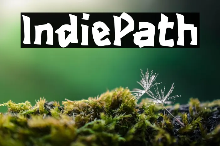 Indie Path Example 1