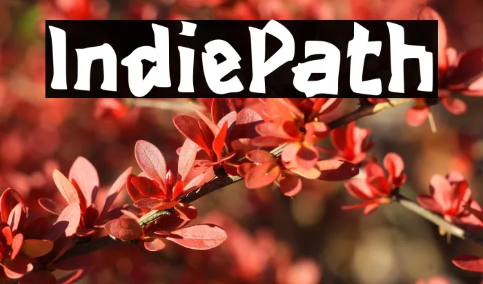 Indie Path Example 3