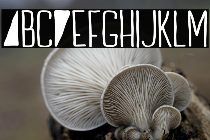 Indie Summer Example 3