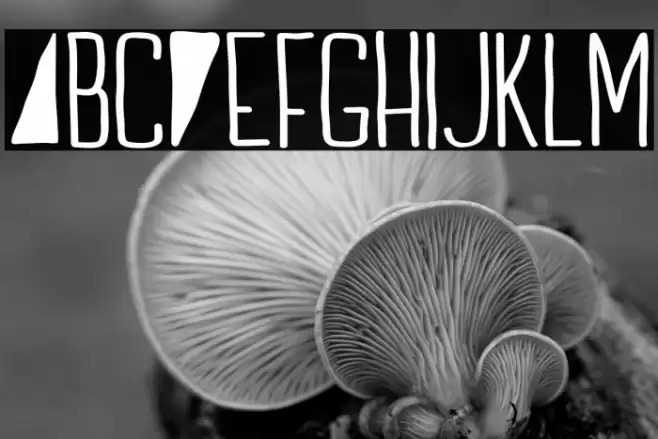 Indie Summer Font examples