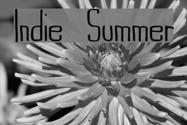 Indie Summer Font examples