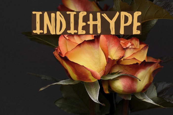 IndieHype Example 3