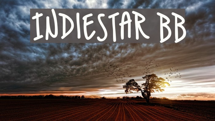 IndieStar BB Шрифта examples