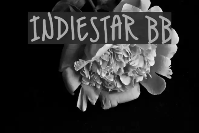 IndieStar BB Font examples