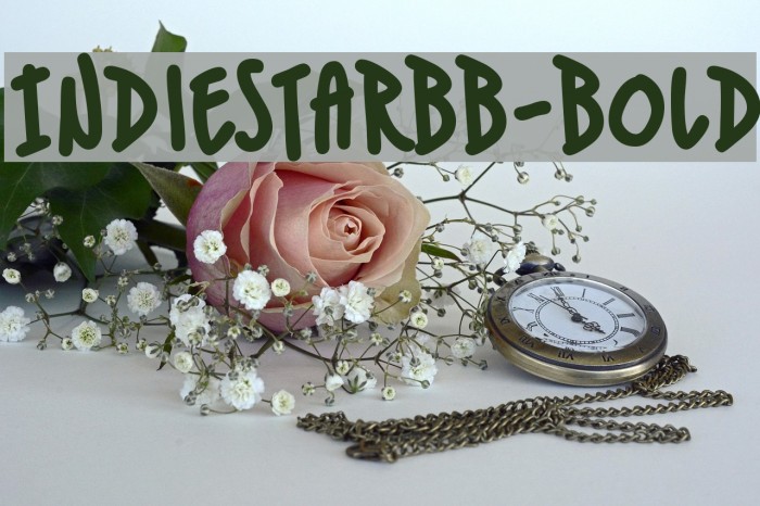 IndieStarBB-Bold Font examples