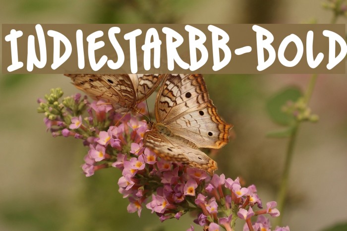 IndieStarBB-Bold Font examples