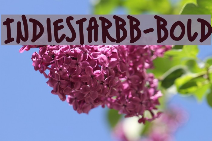 IndieStarBB-Bold Font examples