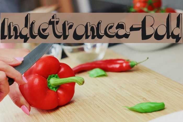 Indietronica-Bold Example 1