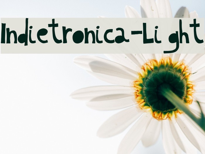Indietronica-Light Font examples