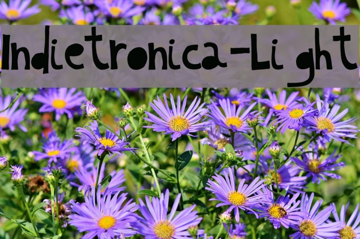 Indietronica-Light Font examples