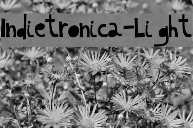 Indietronica-Light Font examples