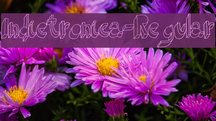 Indietronica-Regular Example 3