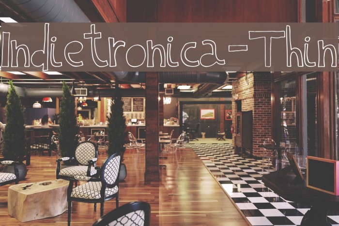 Indietronica-Thin Font examples