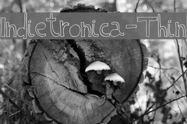 Indietronica-Thin Font examples