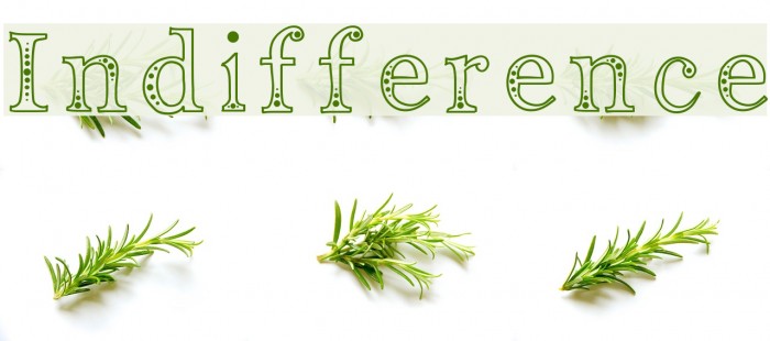 Indifference Font examples