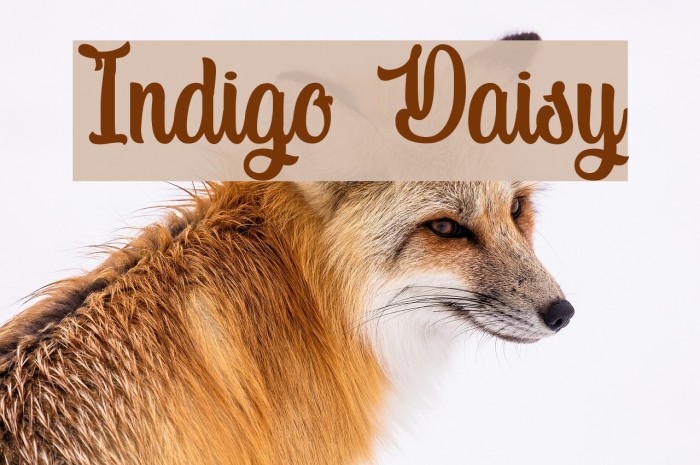 Indigo Daisy Font examples