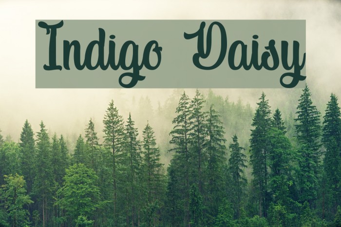 Indigo Daisy Font examples