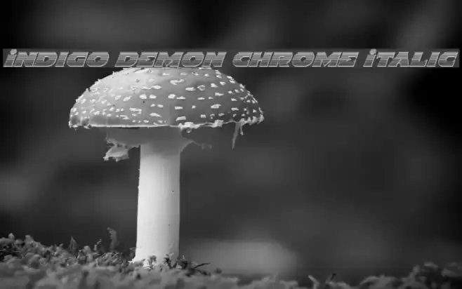 Indigo Demon Chrome Italic Font examples