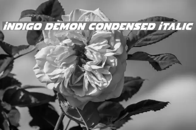 Indigo Demon Condensed Italic Font examples