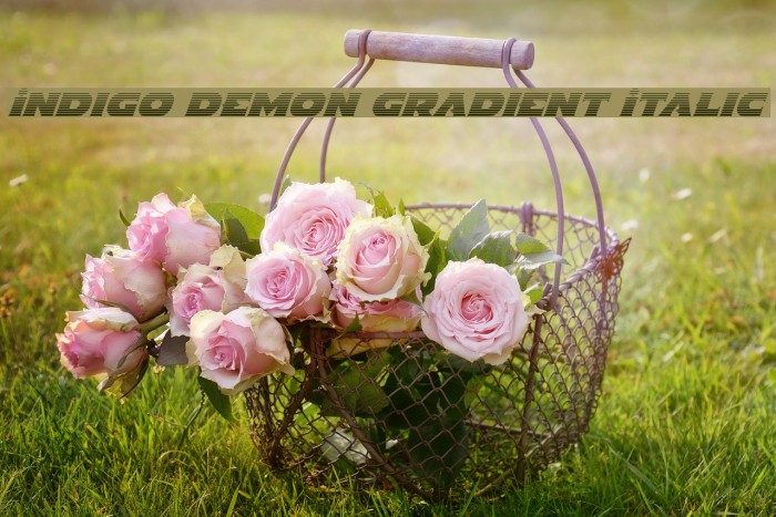 Indigo Demon Gradient Italic Example 2