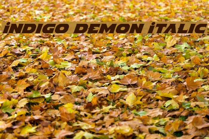 Indigo Demon Italic Example 3