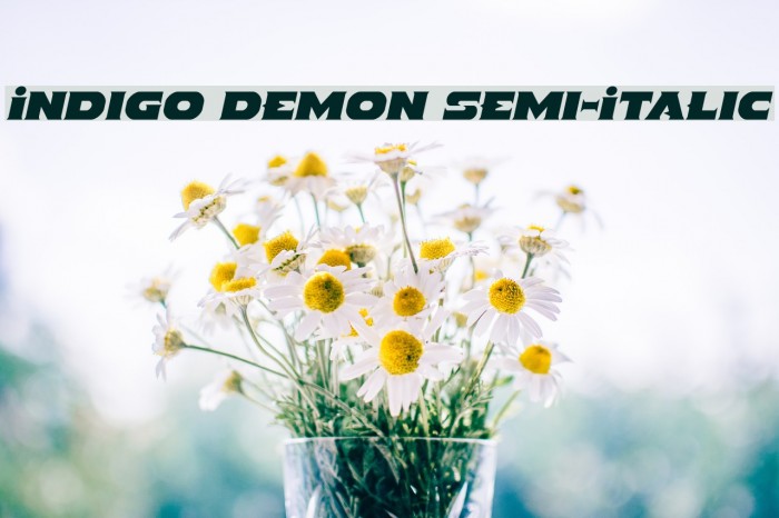 Indigo Demon Semi-Italic Font examples