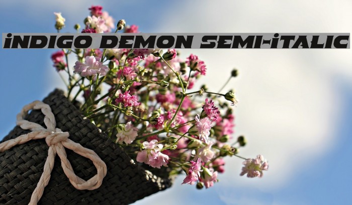 Indigo Demon Semi-Italic Font examples