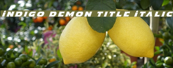 Indigo Demon Title Italic Font examples