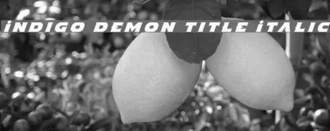 Indigo Demon Title Italic Font examples