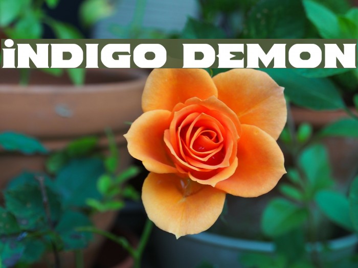 Indigo Demon Font examples