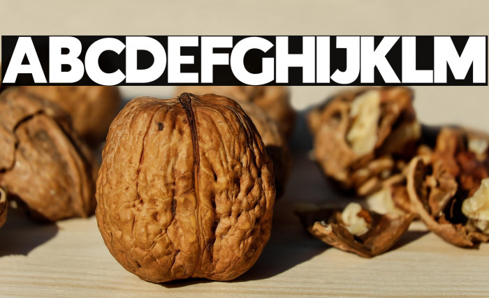 Indigo Regular Regular Example 1