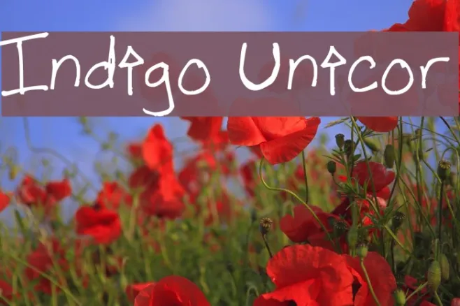Indigo Unicor Example 2