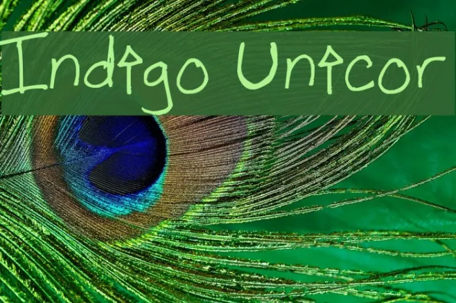 Indigo Unicor Example 3