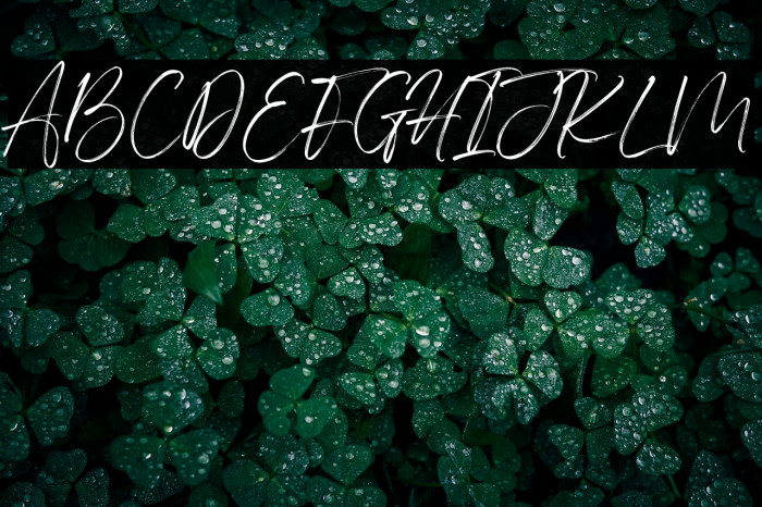 IndigoForestDemoVersion Example 3