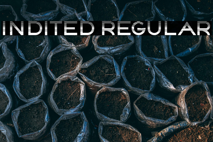 Indited Regular Example 3